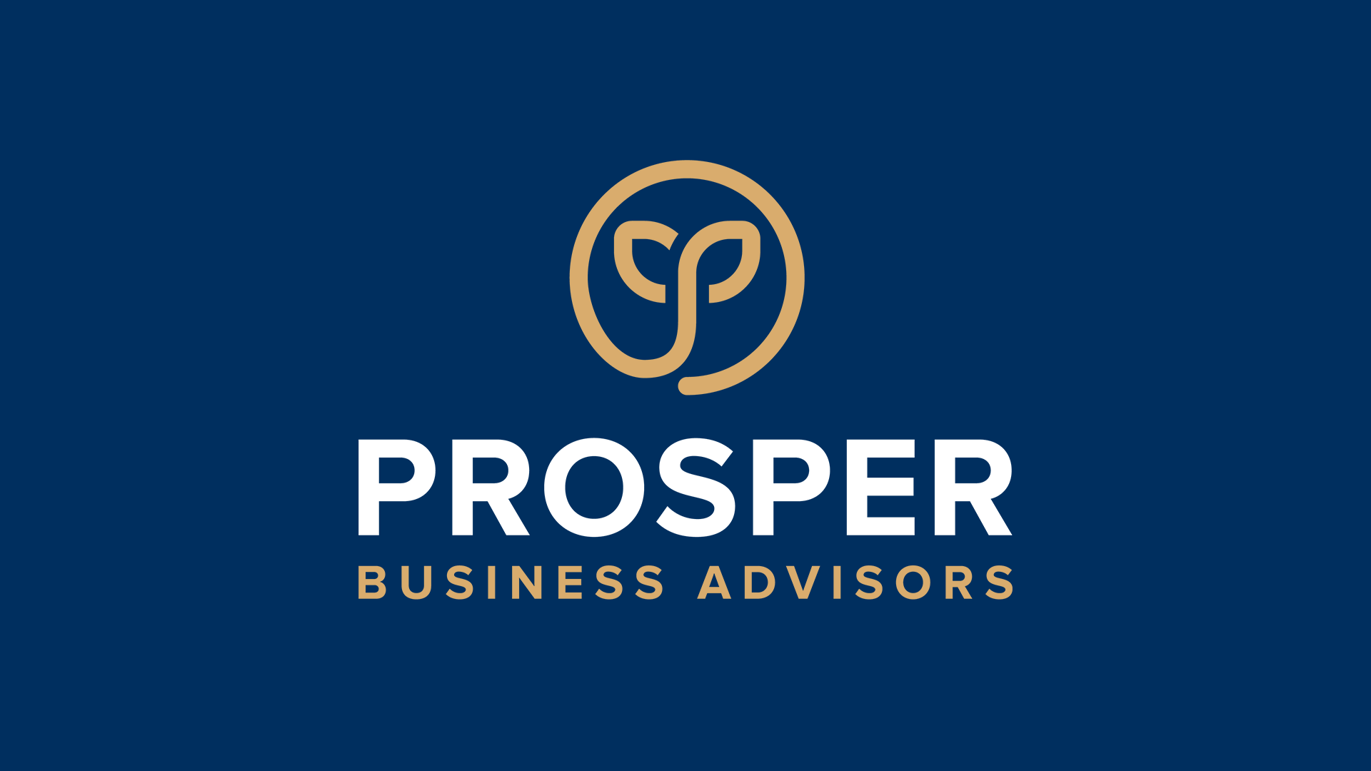 Prosper Business Advisors Branding - Gasoline Media Portfolio